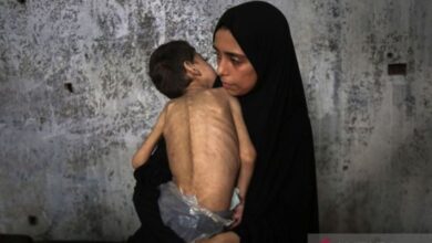 Daerah Wilayah Gaza dilanda krisis kelaparan akut, 271 tewas termasuk 112 anak